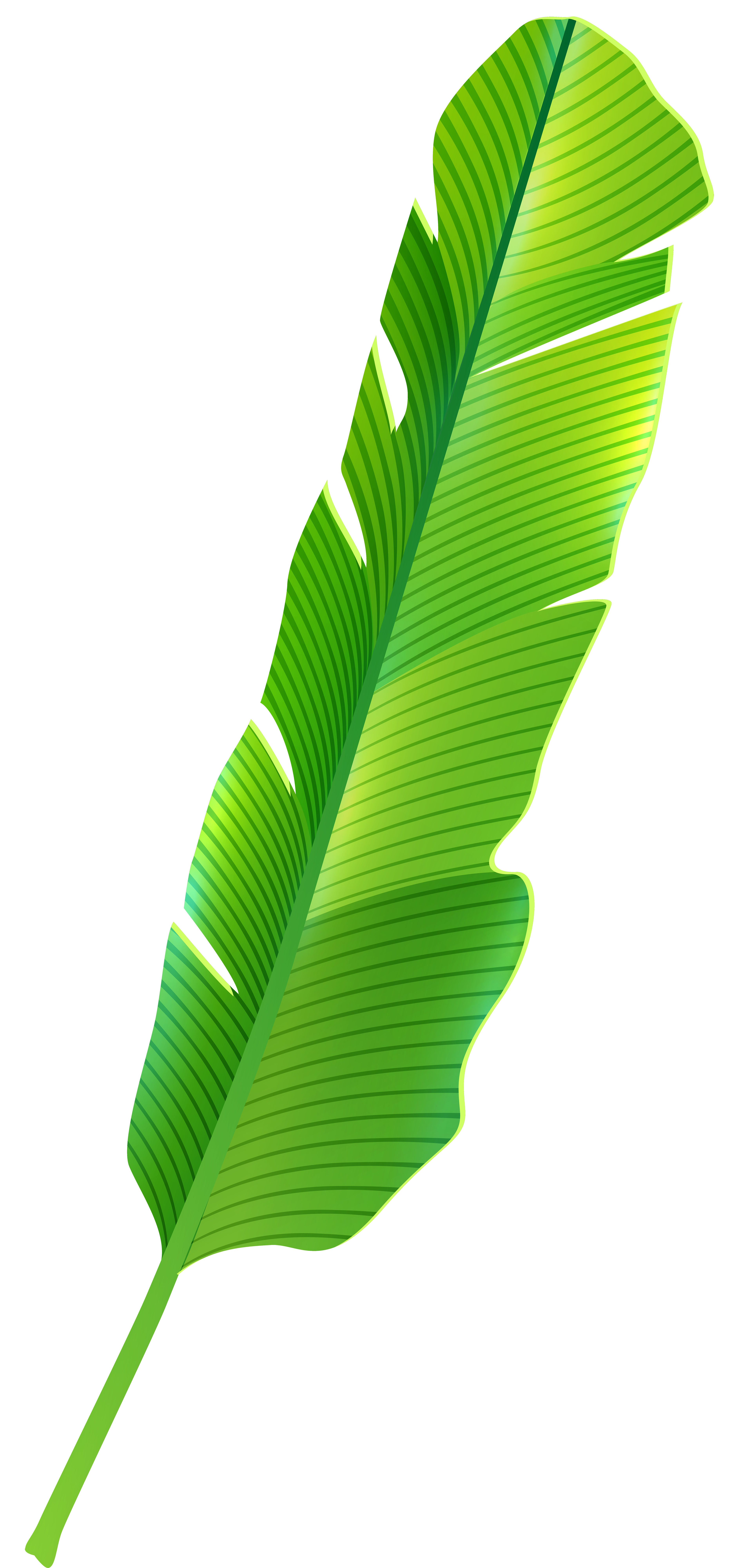 Tropical Leaf PNG Clip Art.