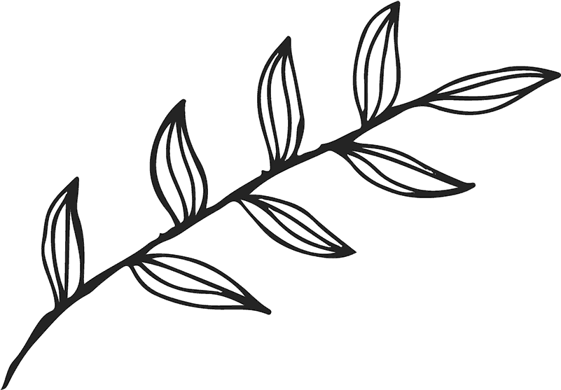 leaf outline png 10 free Cliparts | Download images on Clipground 2024