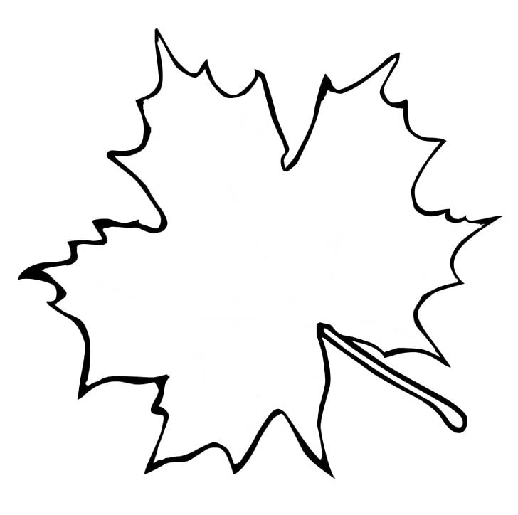 Sugar Maple Maple Leaf Outline PNG, Clipart, Angle, Area.