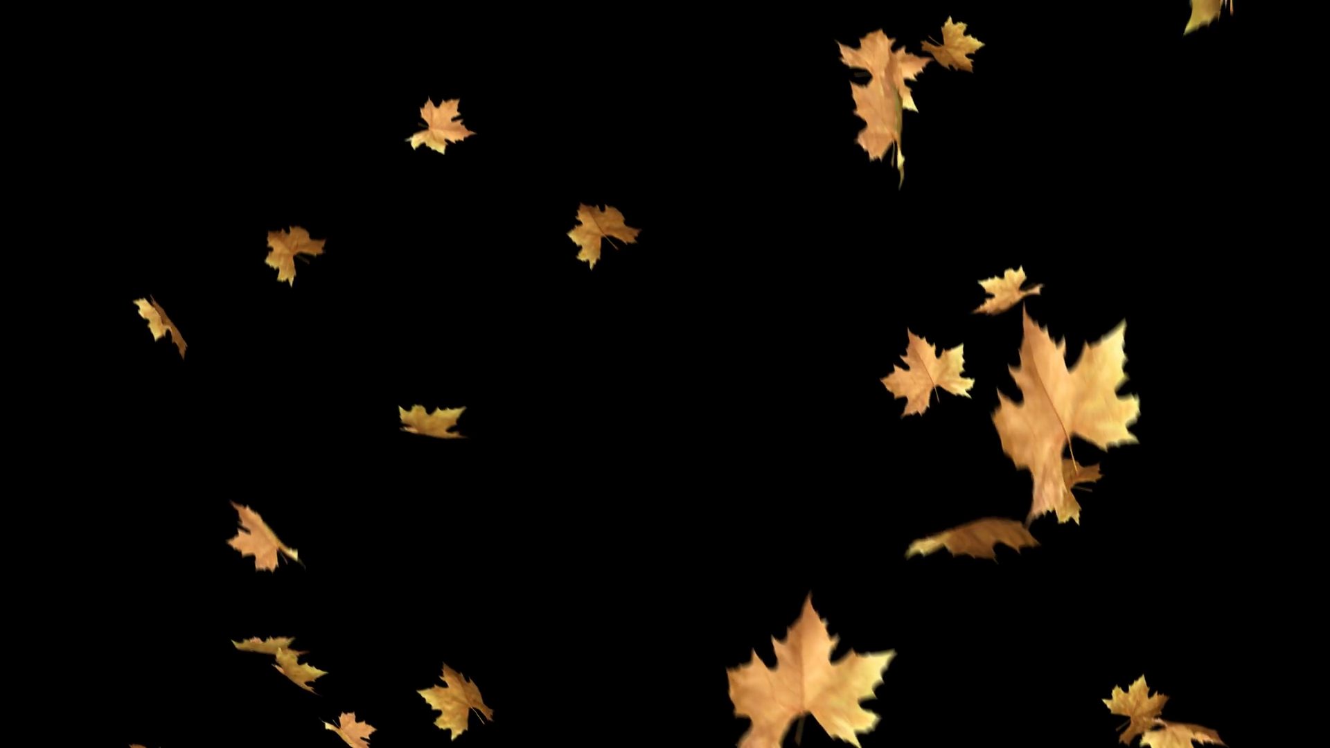 Free Falling Leaves Overlay For Photoshop at Sasworkbenchblog Blog