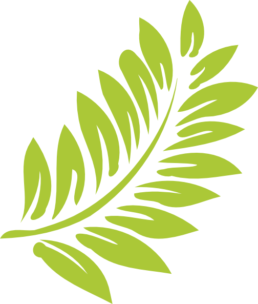 Hibiscus Leaf PNG Transparent Hibiscus Leaf.PNG Images.