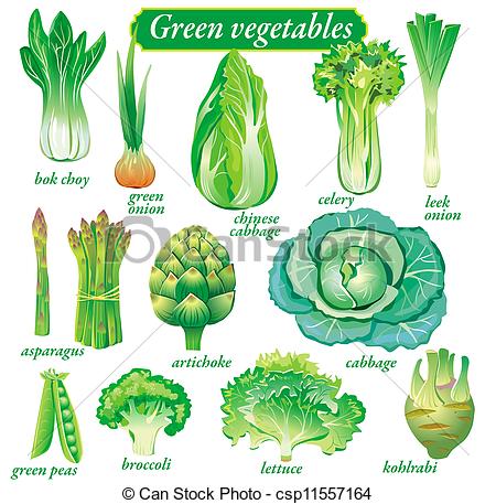 green leafy vegetables clipart 20 free Cliparts | Download images on