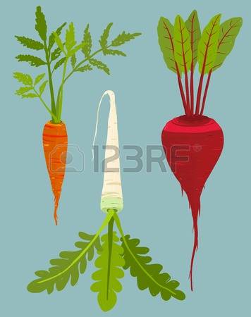 Leafy vegetables clipart 20 free Cliparts | Download images on