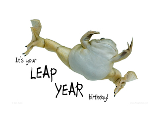 Free Leap Year Cliparts, Download Free Clip Art, Free Clip.