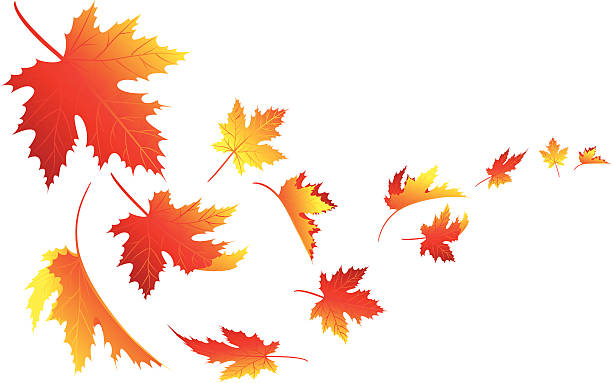 Leaves Blowing Clipart 10 Free Cliparts Download Images On Clipground 