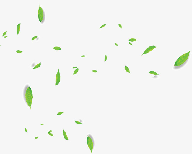 Flowing Green Leaves, Leaves, Float, Falling PNG Transparent.