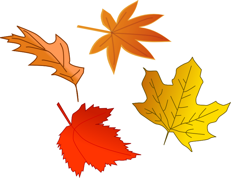 Autumn Leaf Clipart.