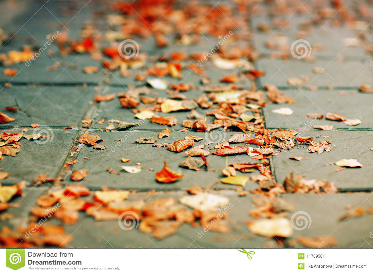 Leaves On Ground Clipart.