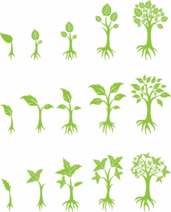 Growing Tree Clipart#2054481.