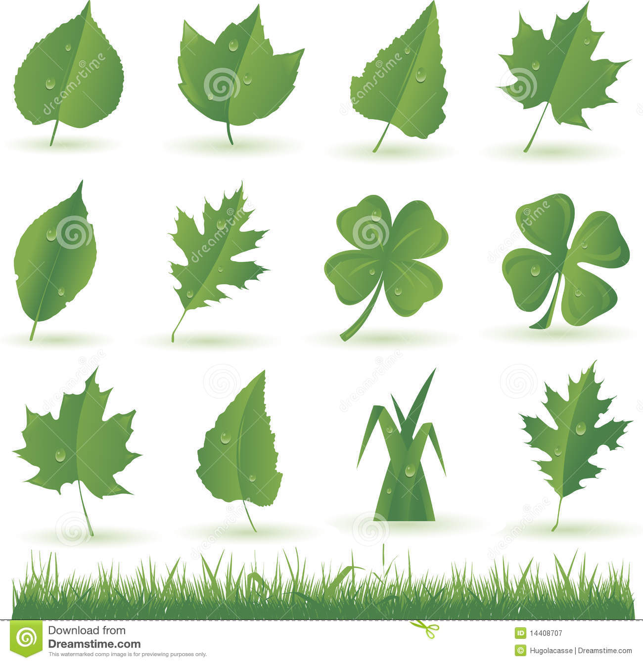Vector Leaves And Grass Royalty Free Stock Photography.