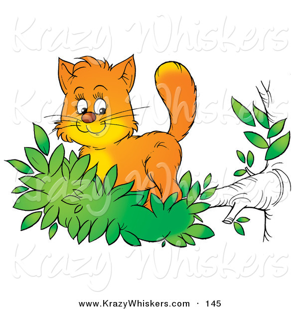 Critter Clipart of a Cute Orange Kitten Exploring the Outdoors.