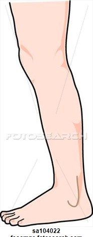 Leg Clipart & Leg Clip Art Images.