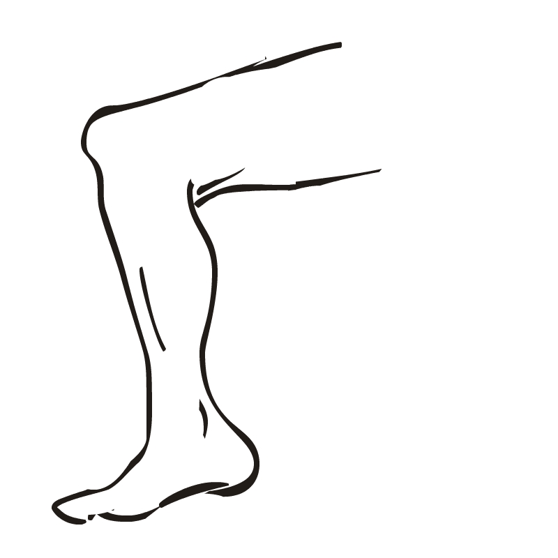 Leg Clipart.