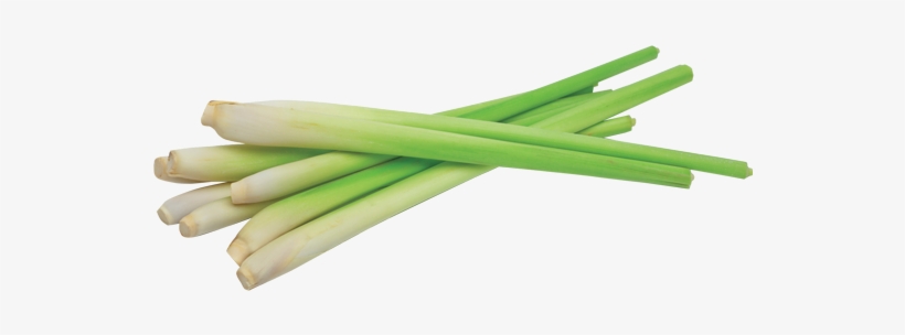 Lemongrass PNG Images.