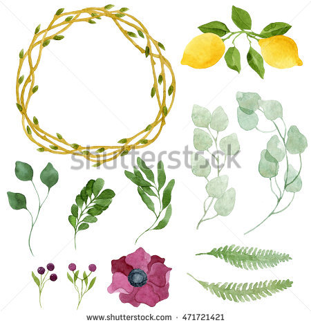 Lemon scented shrub clipart 20 free Cliparts | Download images on