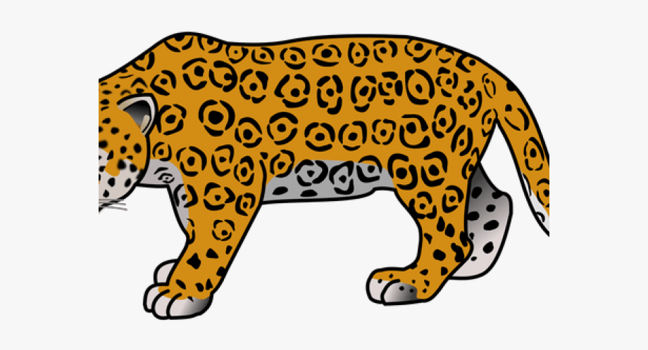 Rainforest Clipart Jaguar.