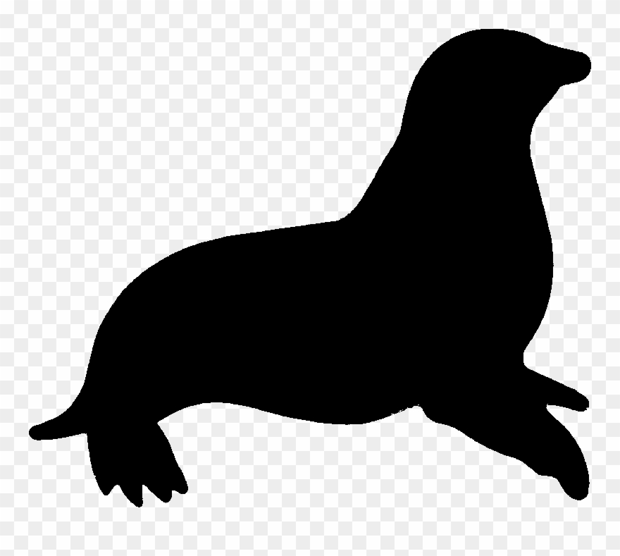 Leopard Seal Clipart Animated.