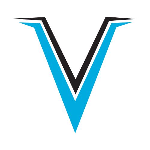 Double Letter V Logo.