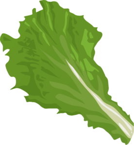 Lettuce Leaf Clip Art.