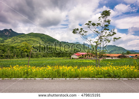 Dandong Stock Photos, Royalty.