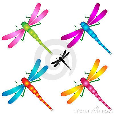 Libellula clipart 20 free Cliparts | Download images on Clipground 2024