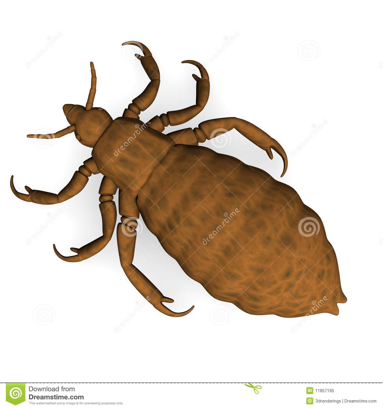 Lice clipart 20 free Cliparts Download images on Clipground 2023