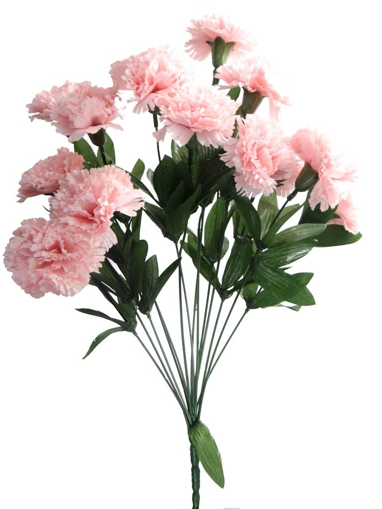 jinxtips: Pink Carnation Flowers Clipart - Carnation flower clipart 20 ...