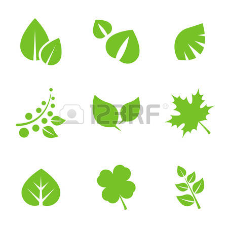Light Green Foliage Stock Illustrations, Cliparts And Royalty Free.