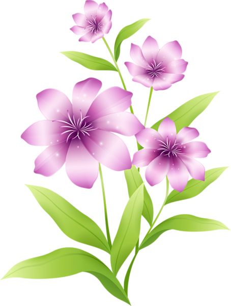 Large Light Pink Flowers Clipart.