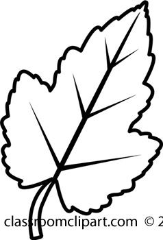 Maple leaves clipart green and white.