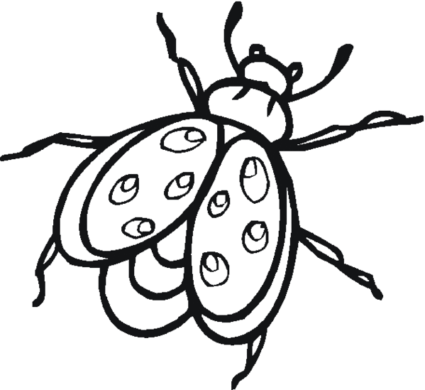 Lightning Bug Coloring Pages.