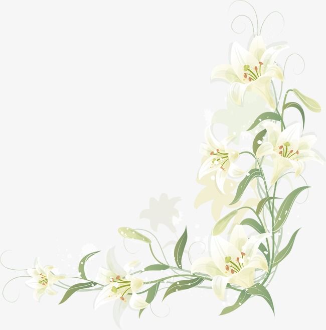 lily border clipart 10 free Cliparts | Download images on Clipground 2022