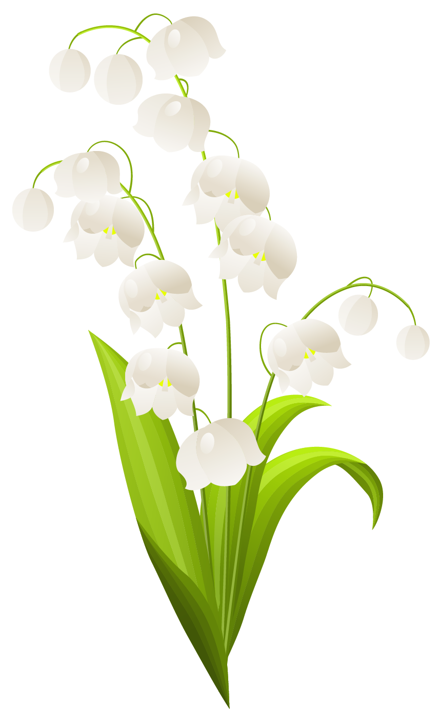 Lily of the Valley Clip Art.