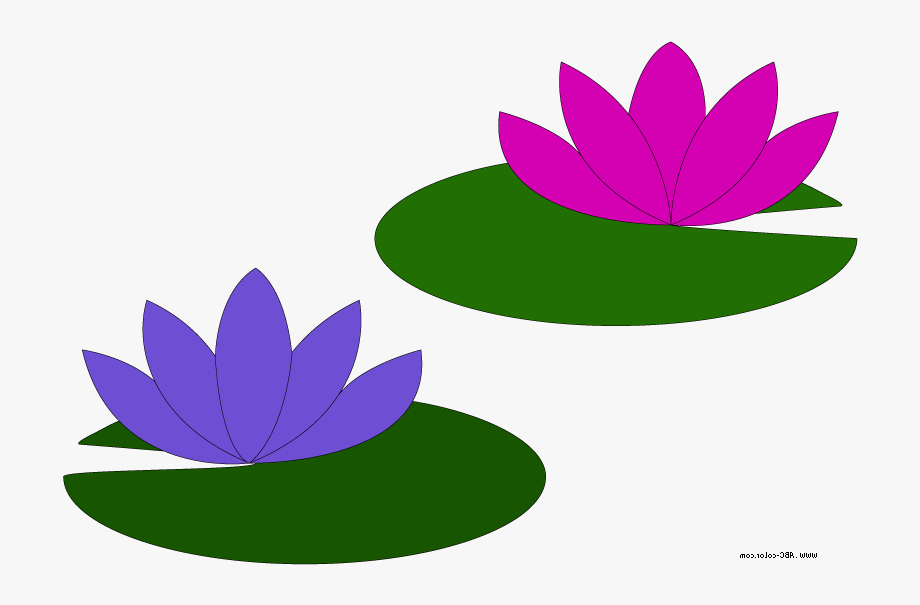 lily pad flower clipart 10 free Cliparts | Download images on ...