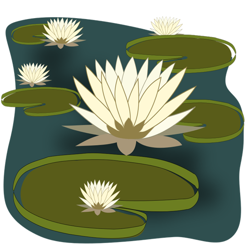 Water Lily Clipart.
