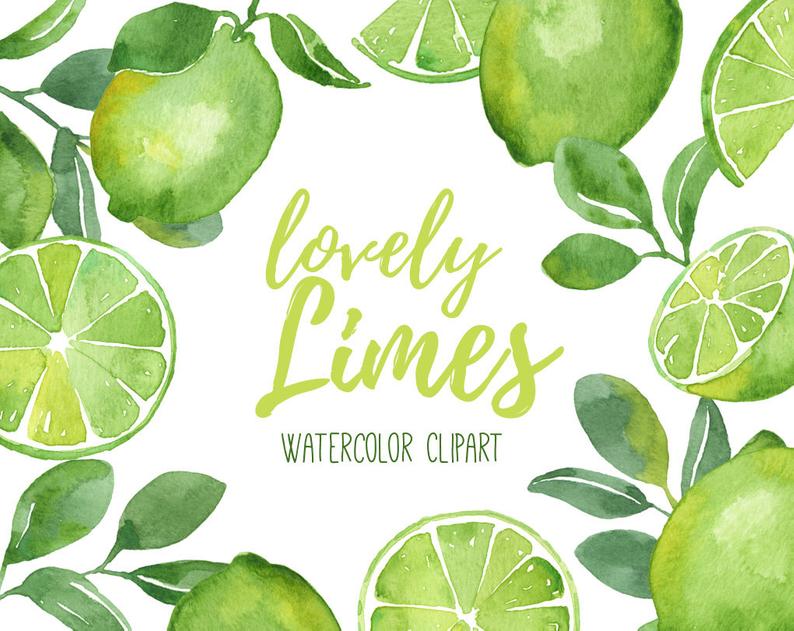 Lime Clipart, Watercolor Lime Clipart, Fruit Clip Art, Citrus Fruit  Clipart, Limes, Watercolor Fruit Clipart, Lime Slices, Tropical, Summer.