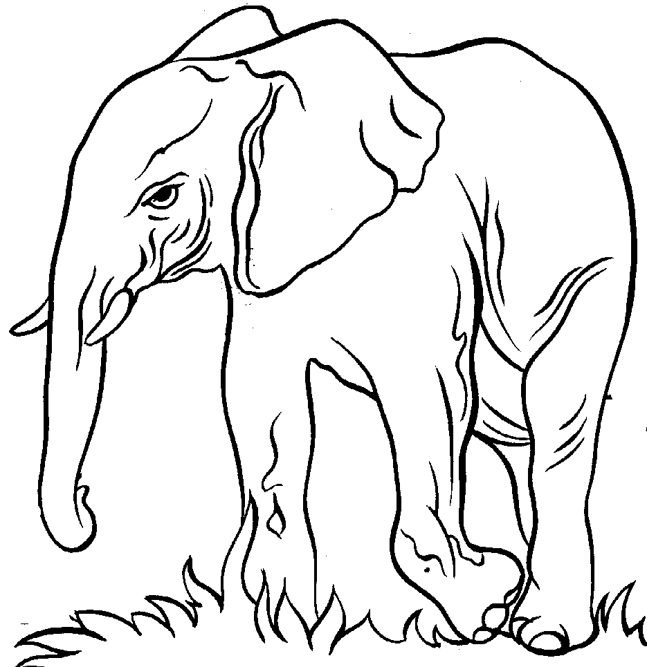 Free Elephant Line Art, Download Free Clip Art, Free Clip.