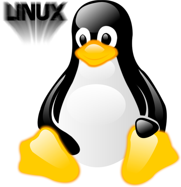 Linux png. ОС Linux. Логотип линукс. Логотип операционной системы Linux. ОС Пингвин.