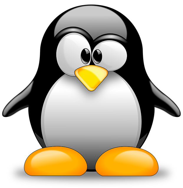 Linux Clipart Library 10 Free Cliparts Download Images On Clipground 2024
