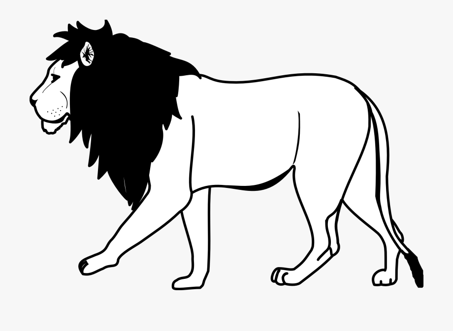 Lion Black And White Lion Clipart Black And White.