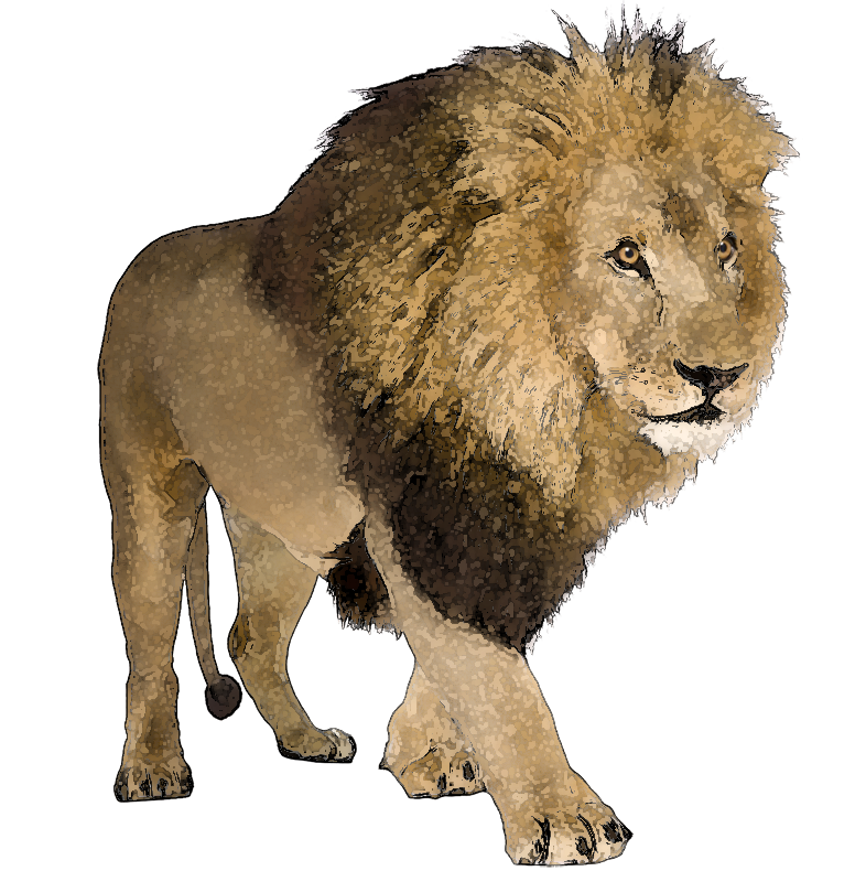 lion clipart for photoshop 10 free Cliparts | Download images on ...