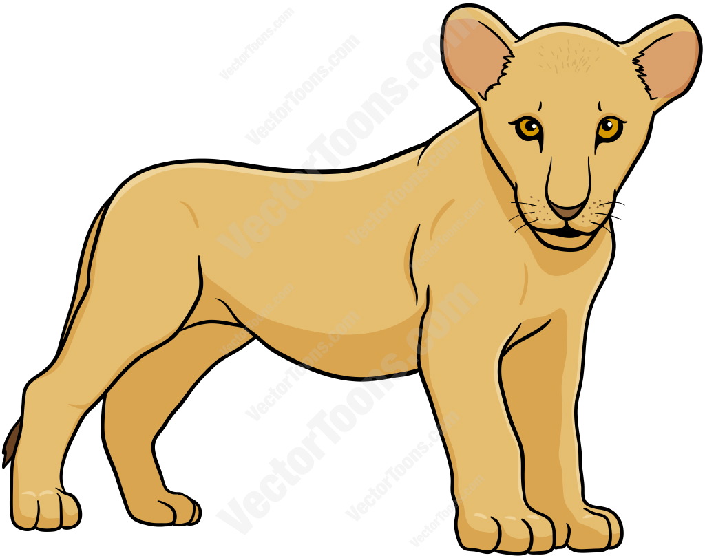 Lion Females Clipart 1 