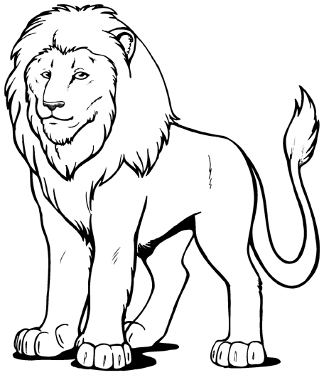Free Lion Outline Cliparts, Download Free Clip Art, Free.