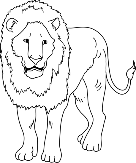 Free Lion Outline Cliparts, Download Free Clip Art, Free.