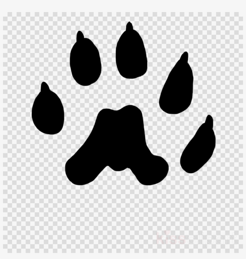 Download Weasel Paw Print Png Clipart Weasels Cat Lion.