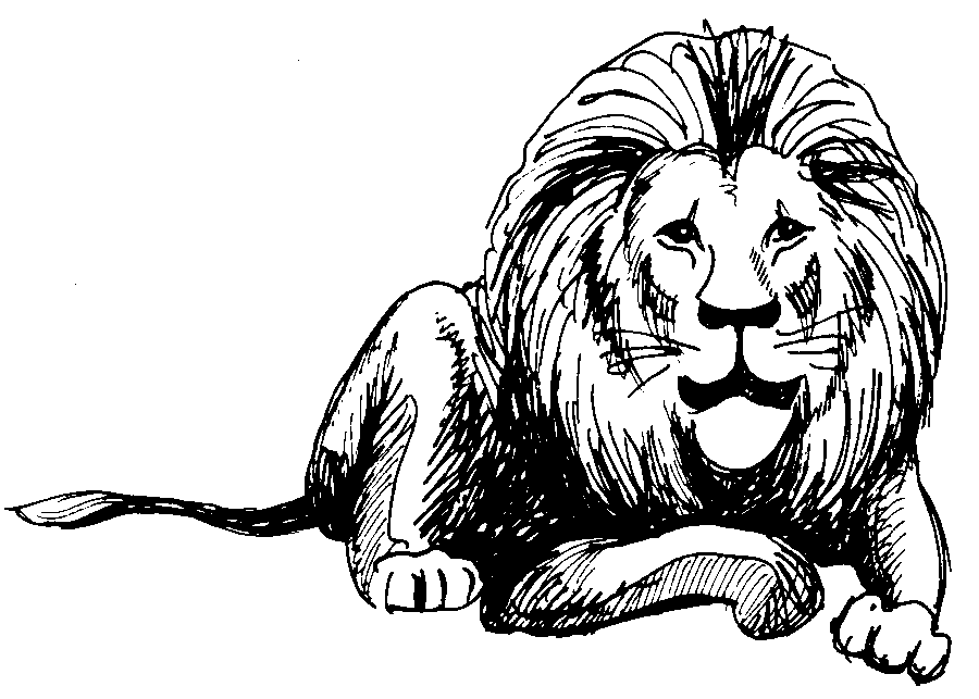 Lion artwork clipart.