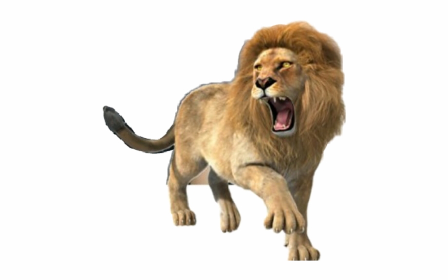 lion #roar #roaringlion #animals #strength #power.