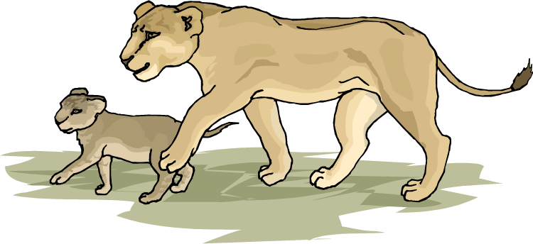 lioness clipart