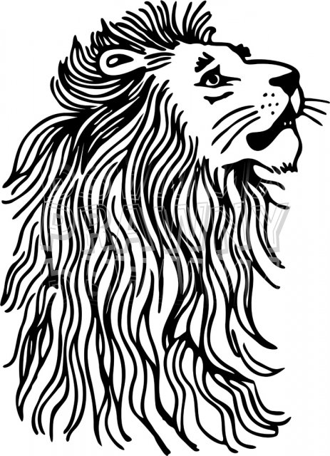 Black & White Line Drawing of a Lions Mane Prawny Animal Clip Art.