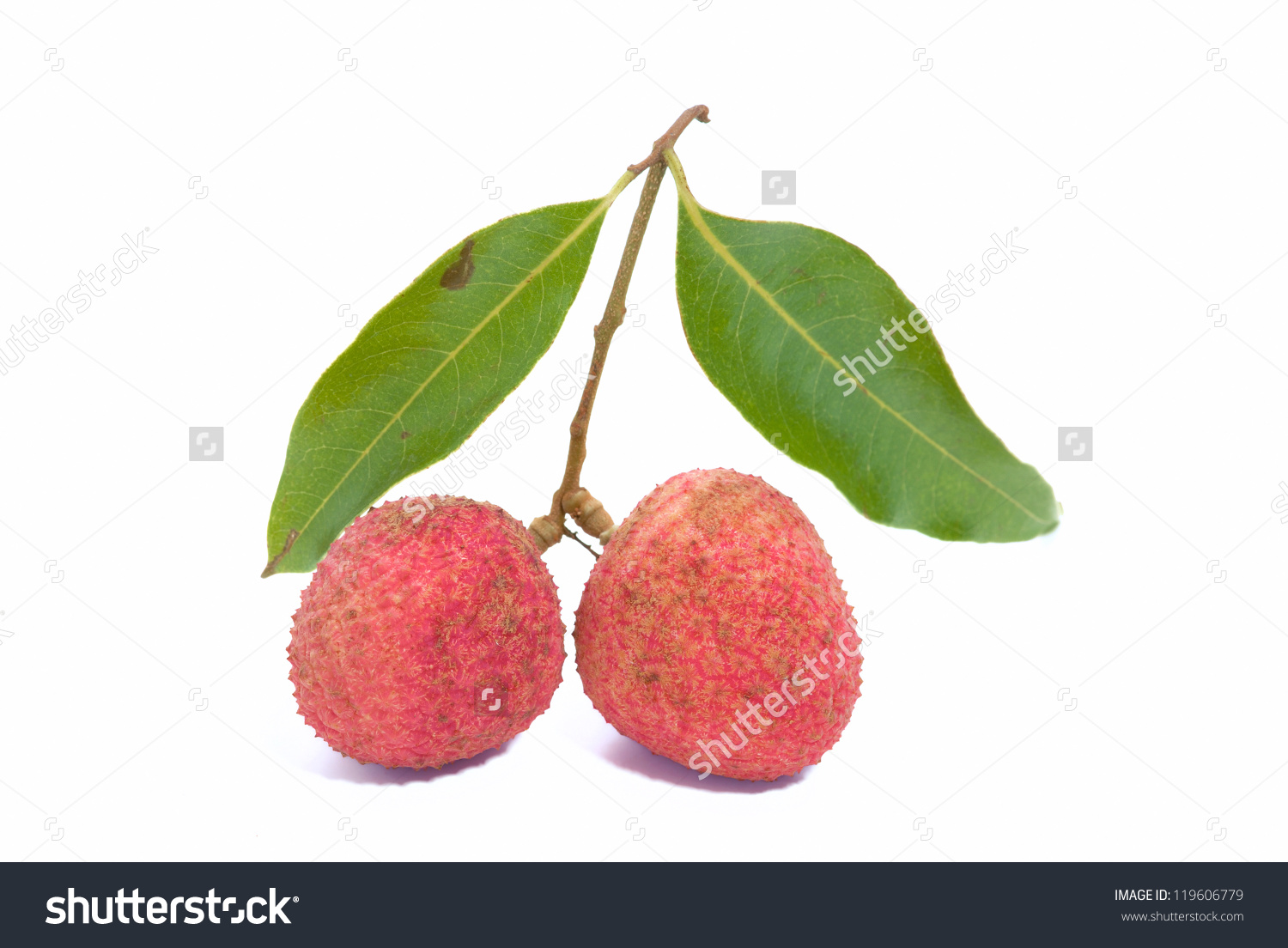 Fruit Name Litchi Chinensis Stock Photo 119606779.